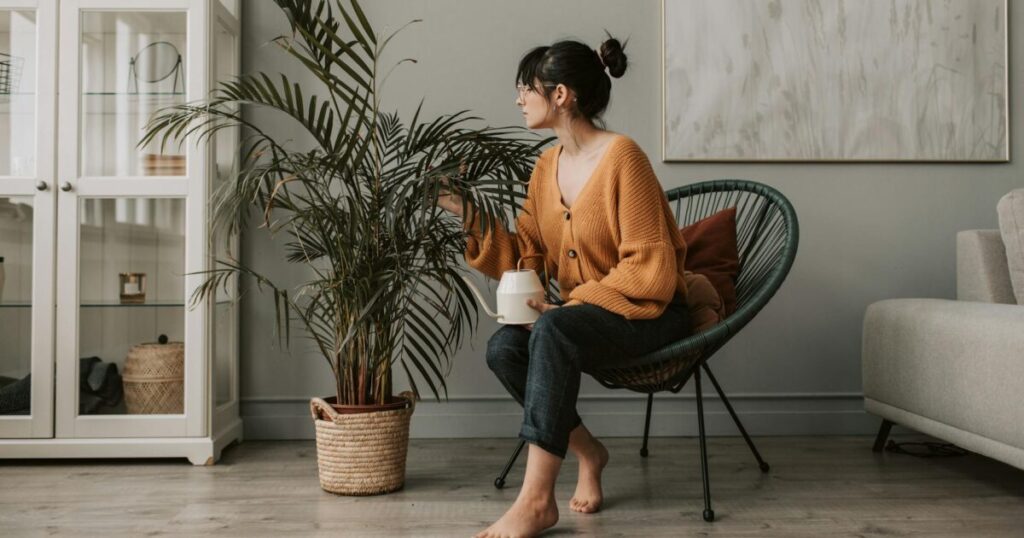 3 plantes d'intérieur qui améliorent l'équilibre émotionnel