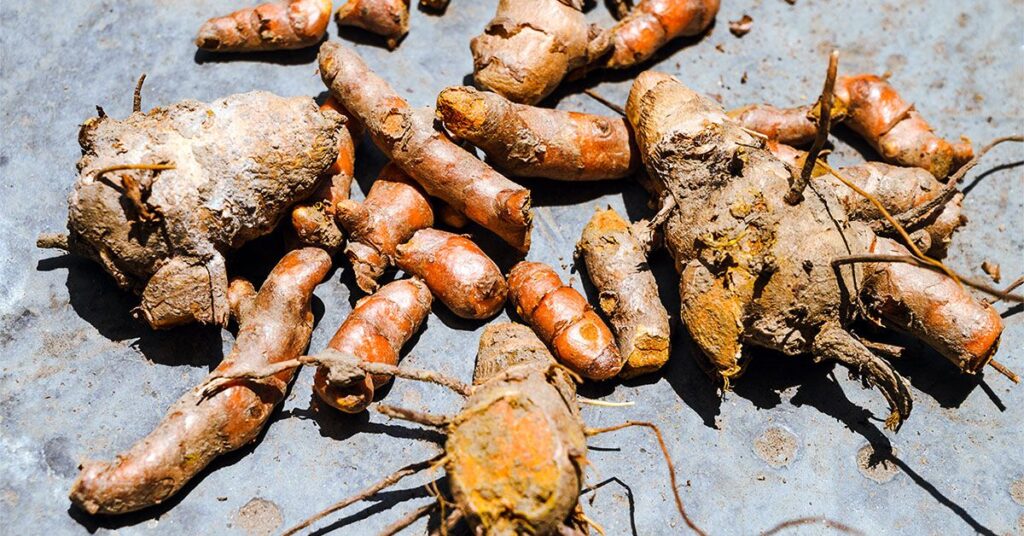 6 compléments alimentaires populaires liés à des risques potentiels pour le foie