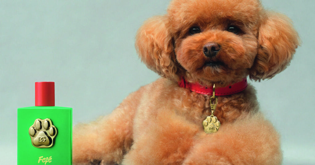 Le parfum de luxe pour chiens inspiré de la dolce vita italienne
