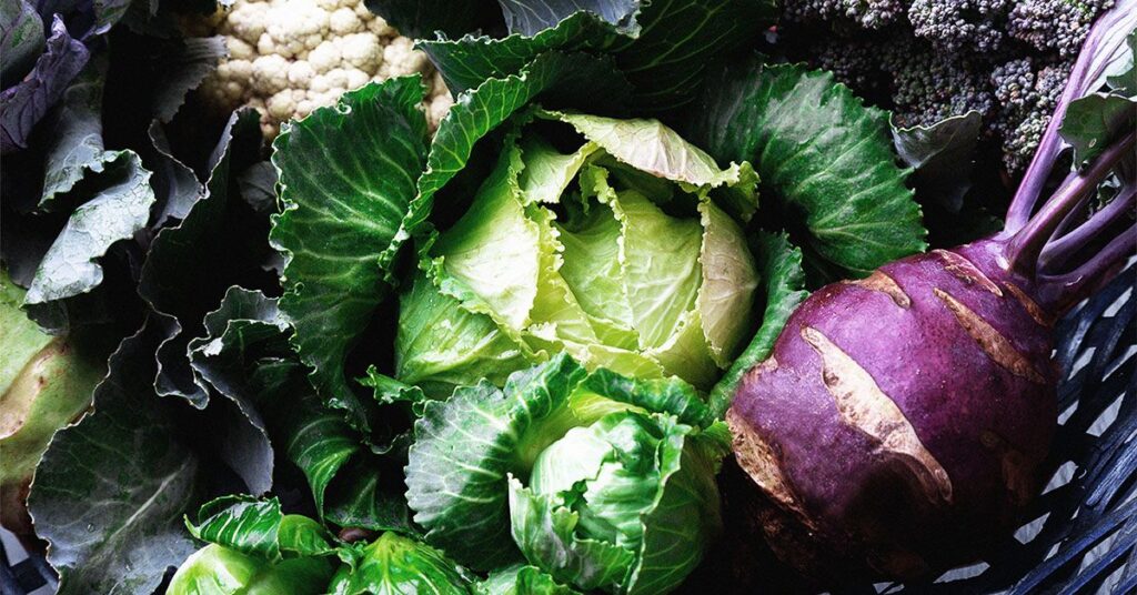 Manger moins de folate pourrait-il réellement aider le métabolisme vieillissant ?