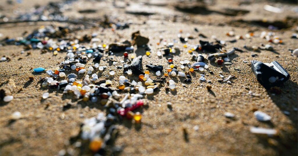 Des scientifiques découvrent des microplastiques dans les bulbes olfactifs du cerveau humain