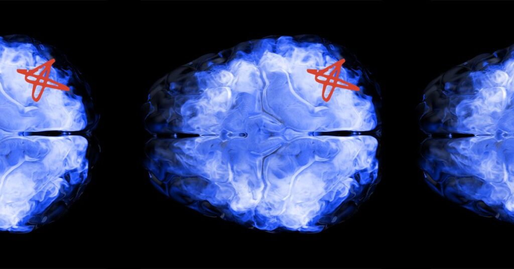 Comment le cerveau élimine les protéines toxiques pouvant entraîner un déclin cognitif