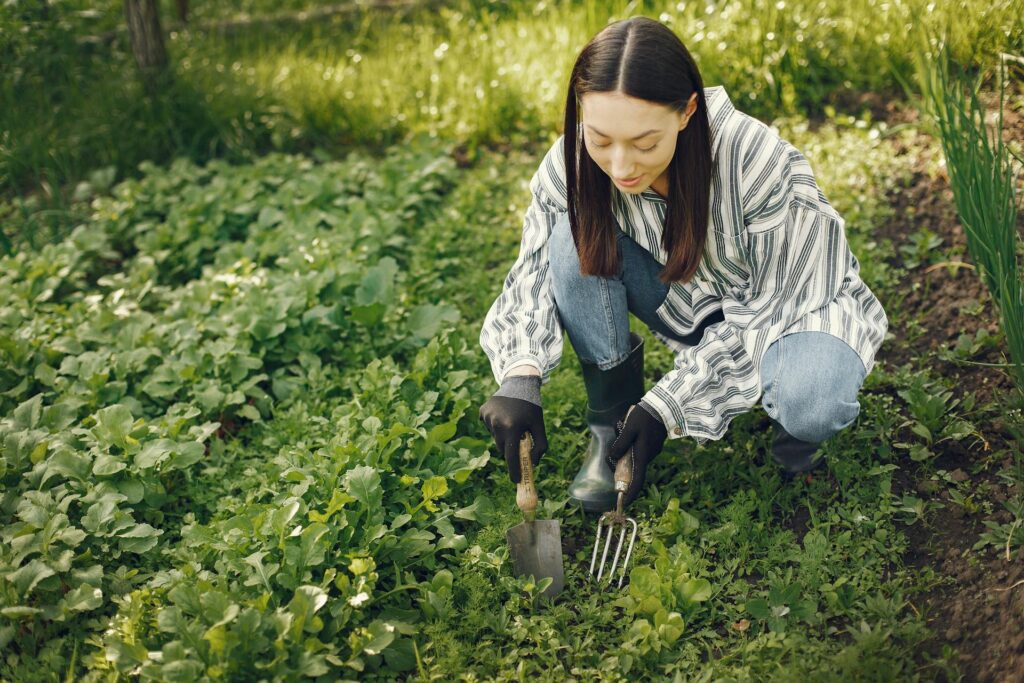 Comment transformer un potager en jardin avec les plus beaux légumes d'ornement