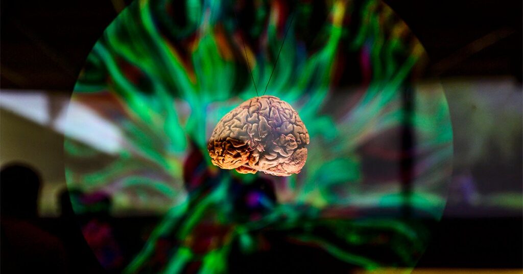 Parkinson et TDAH liés à des gènes qui affectent le volume du cerveau