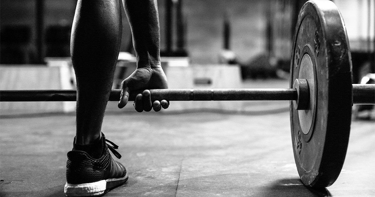 Un nouvel anticorps pourrait aider à prévenir les os, la perte musculaire due aux médicaments GLP-1