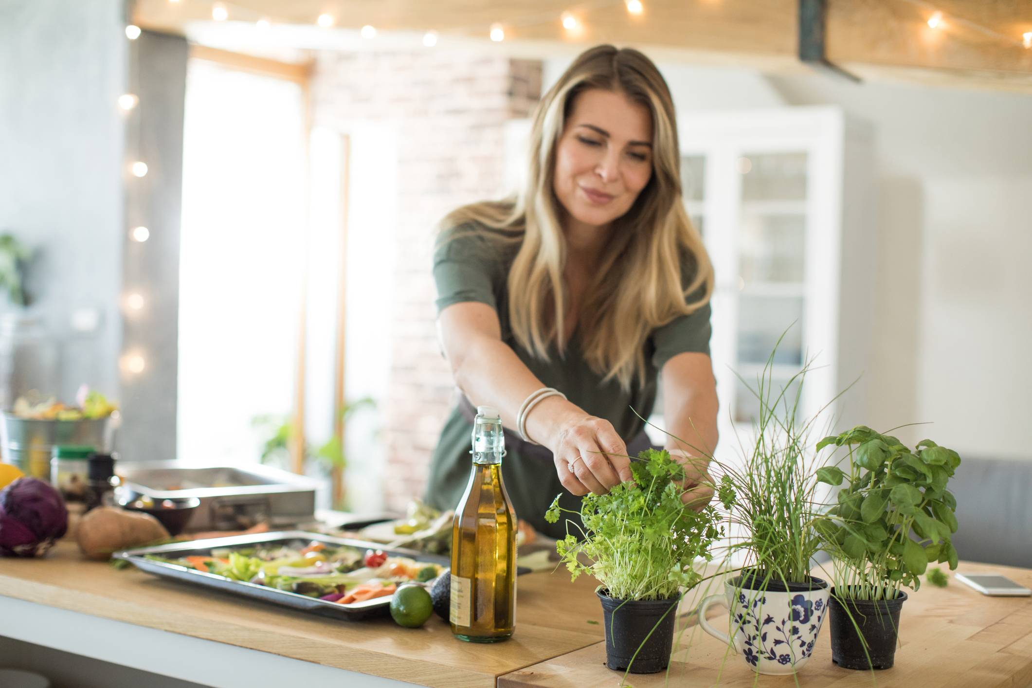 la protéine végétale qui imite la viande et est idéale pour contrôler le poids