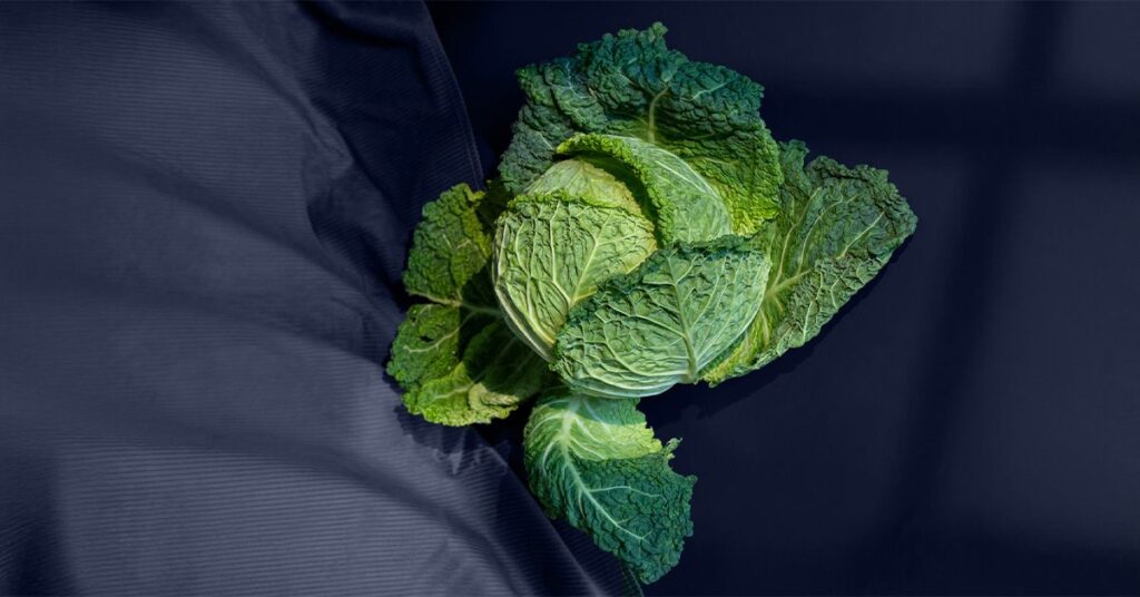 Les régimes faibles en vitamine K peuvent avoir un impact sur la mémoire, accélérer le déclin cognitif