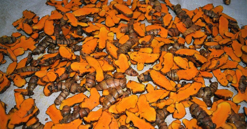 Pour un meilleur contrôle du poids dans le diabète, le curcuma peut être la réponse