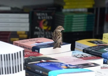Les gros paris d'Alina Zarekaite, de la librairie La Fabulosa, pour la Foire du livre de Madrid 2026