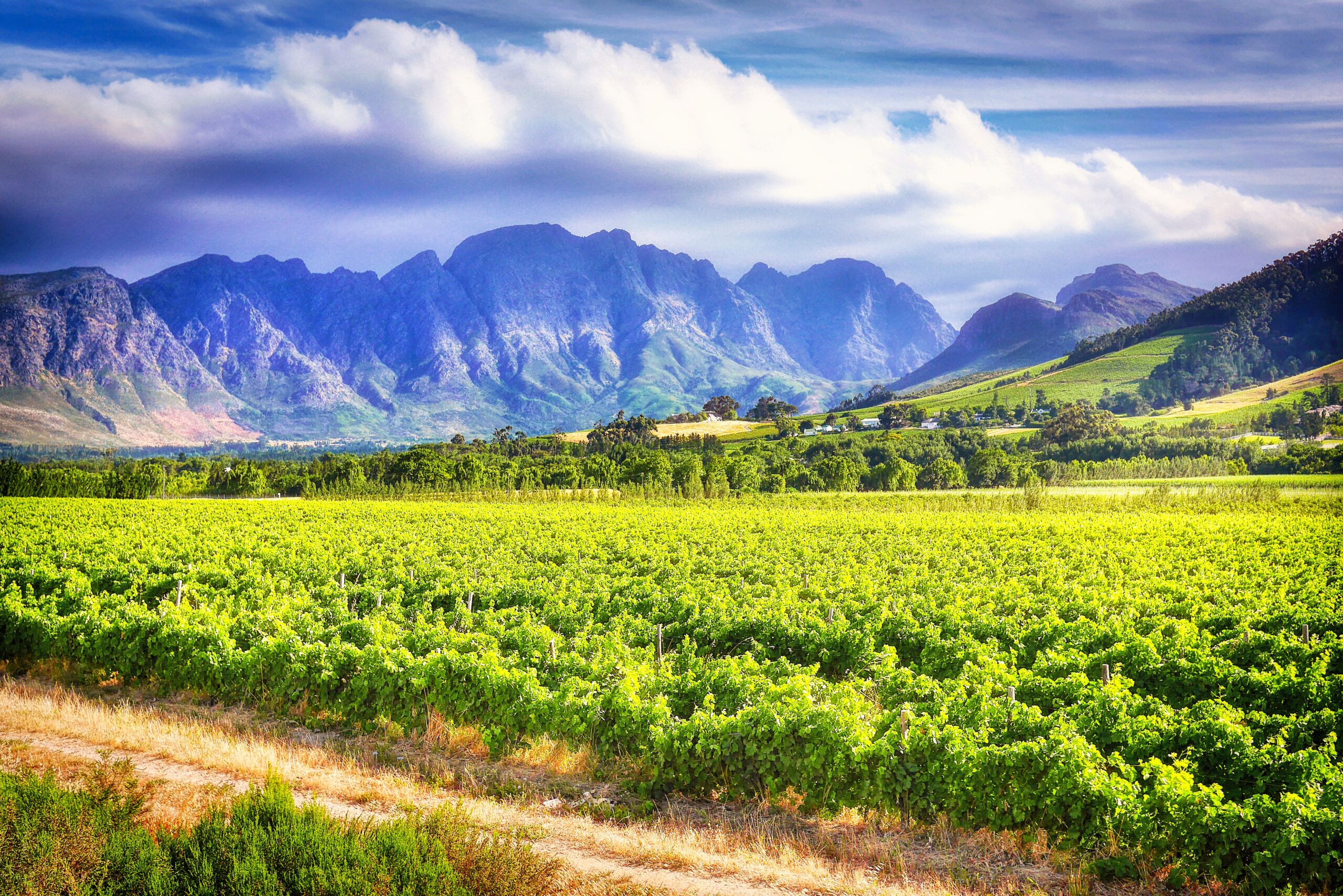 Stellenbosch : safaris, vin et hôtels sympas dans une destination africaine