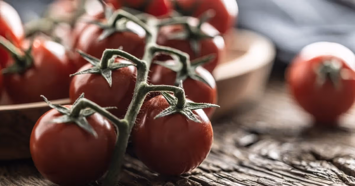 Manger des tomates quotidiennement peut aider à réduire l’accumulation de graisse dans le foie