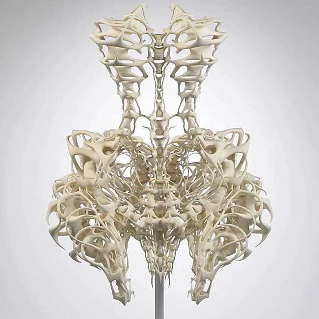 Robe squelette, Iris van Herpen
