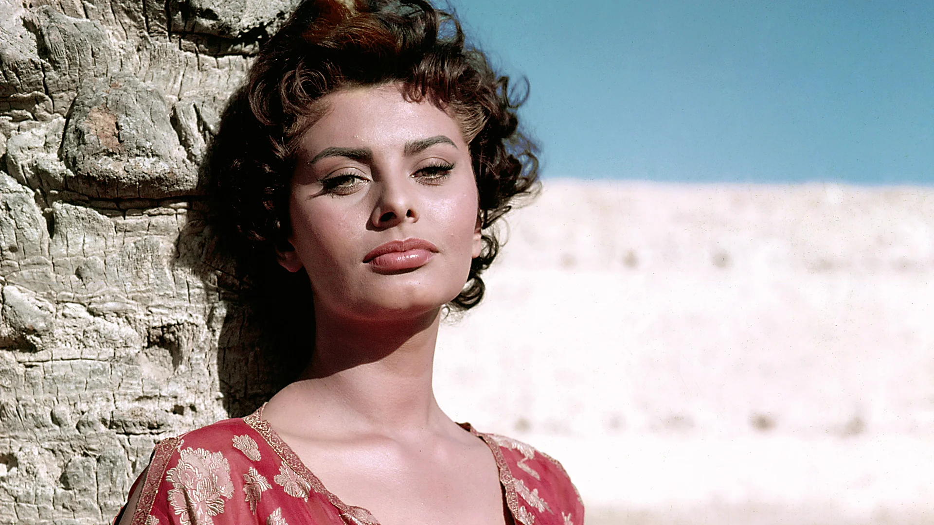 Sophia Loren fête ses 92 ans : qui a dit que les stars hollywoodiennes perdaient de leur éclat ?
