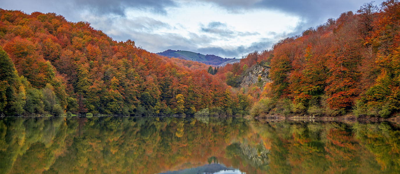 La forêt d'Espagne qu'il faut visiter cet automne